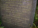 image of grave number 484050
